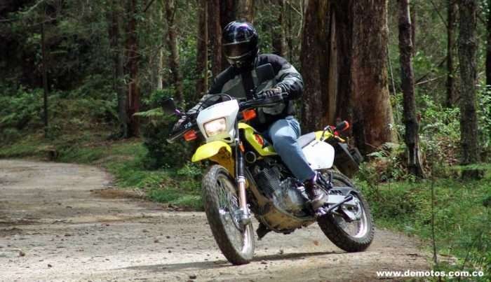 Suzuki DR 650