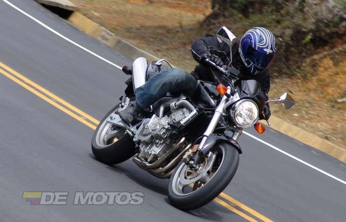 Honda Hornet 599