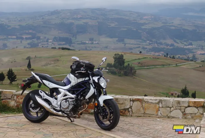 Suzuki Gladius