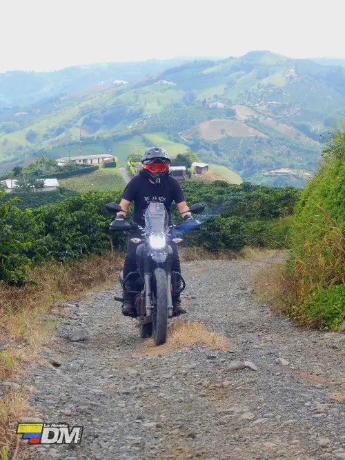 Motociclista conduciendo la Xpulse 200 4V en carretera de montaña
