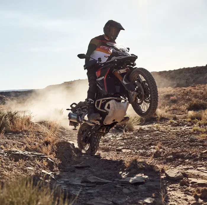Familia tiger 900 25 04 En temas De Motos resolvemos tus dudas La Revista De Motos