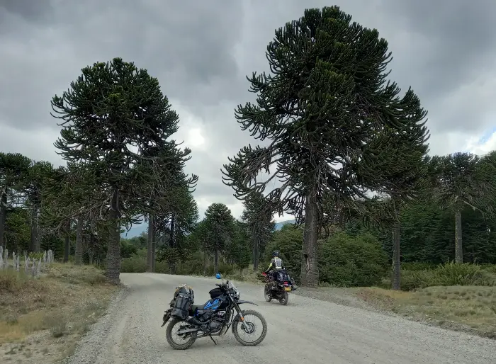 la ruta de viaje y la moto dependen del gusto del motociclista El rugir del horizonte: Las rutas más legendarias para recorrer en moto 6 La ruta, la moto y el viaje dependen del gusto de los motociclistas