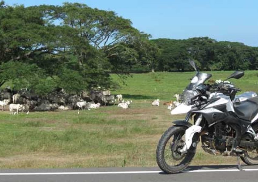 Ed140-ViajeCo-TT250-P