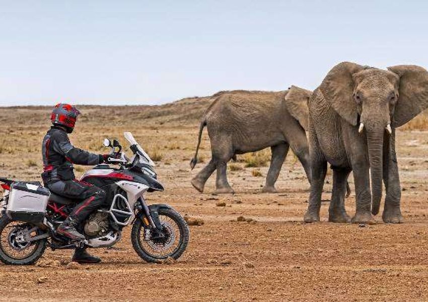 Multistrada V4 Rally